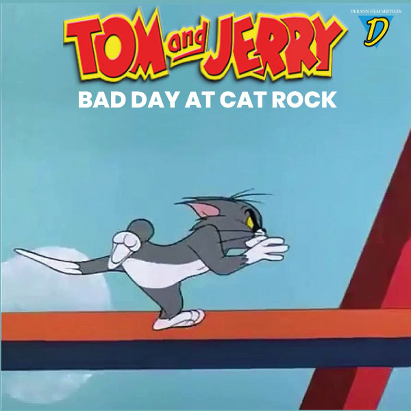BAD DAY AT CAT ROCK